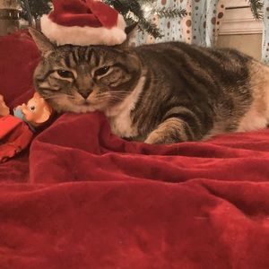 Meet your Posher, Makayla